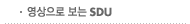 �������� ���� SDU