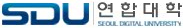 SDU ���մ���